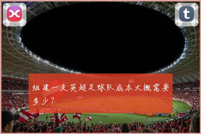 组建一支英超足球队成本大概需要多少？